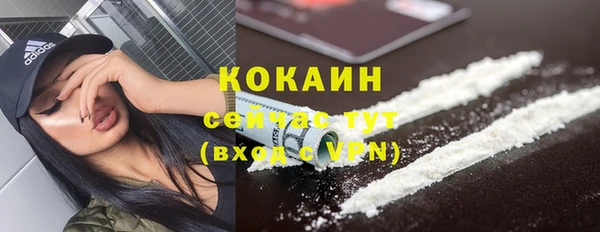 мяу мяу мука Аркадак