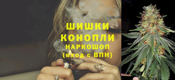 мяу мяу мука Аркадак