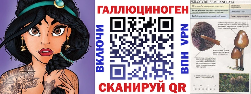 Псилоцибиновые грибы Psilocybine cubensis  Учалы 