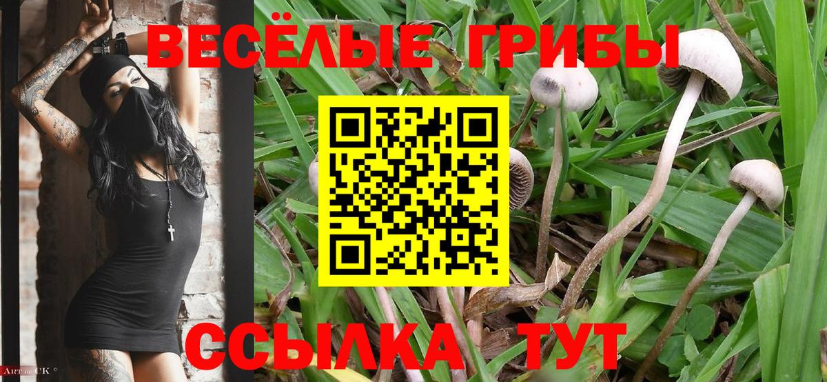 Псилоцибиновые грибы GOLDEN TEACHER Учалы